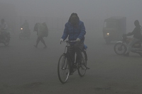 In quasi tutto il mondo, il livello di PM2,5 nell’aria è ben al di sopra della soglia di sicurezza
