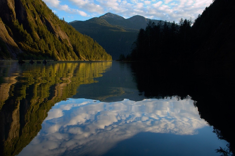Great Bear Rainforest