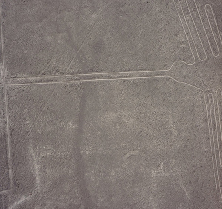 peru-deuncia-greenpeace-nazca2