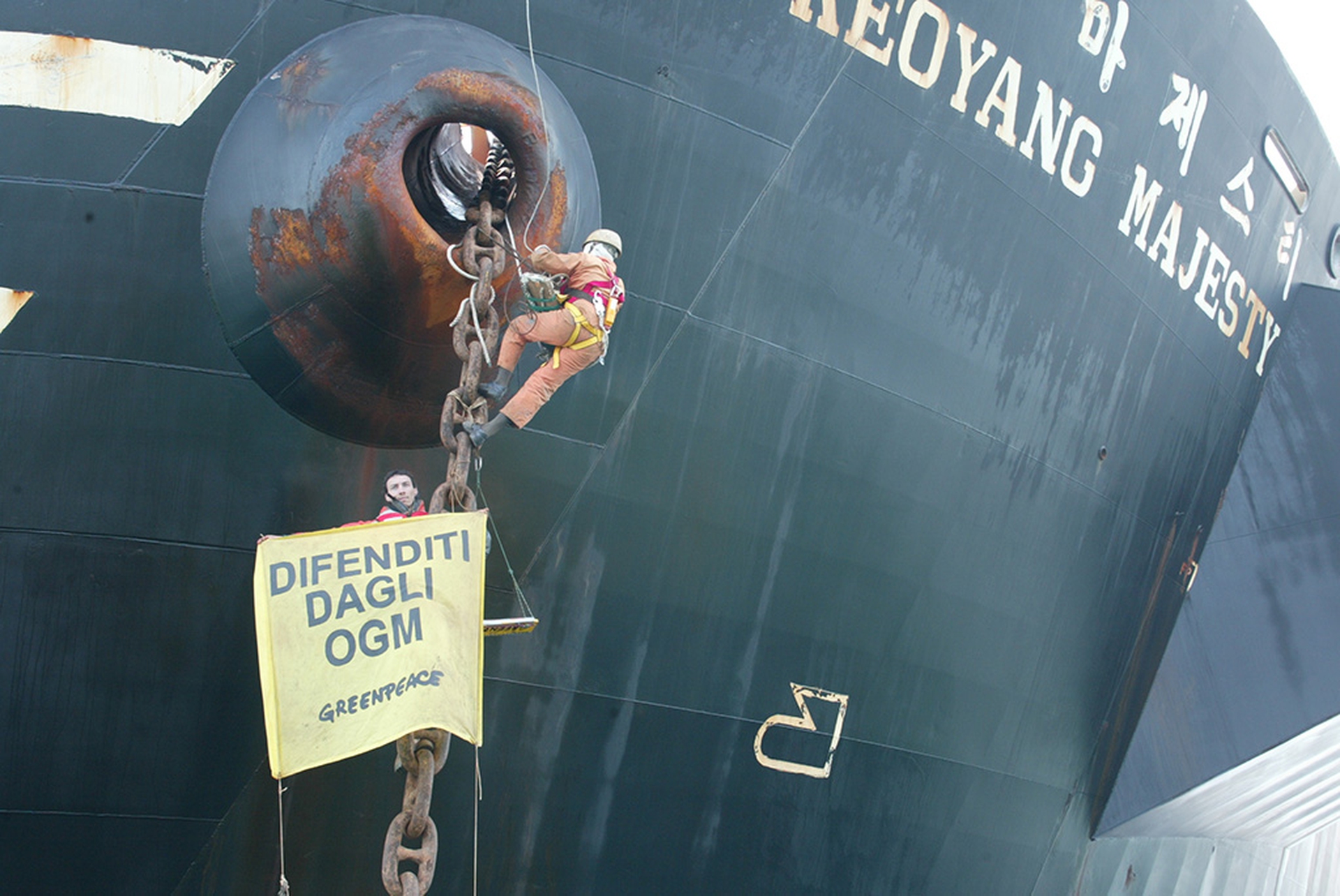 Greenpeace. I guerrieri dell'arcobaleno in Italia