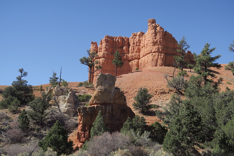 alce nero, black elk