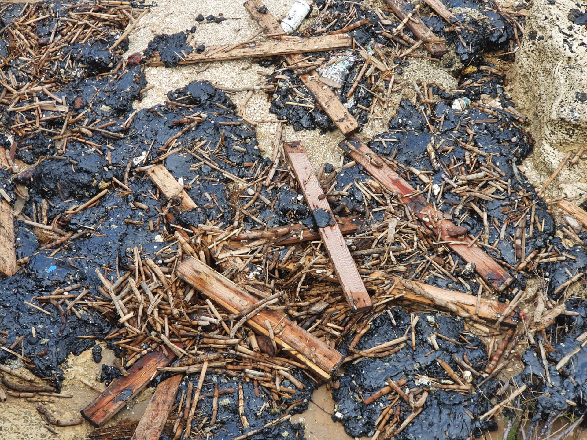 israele-catrame-spiaggia