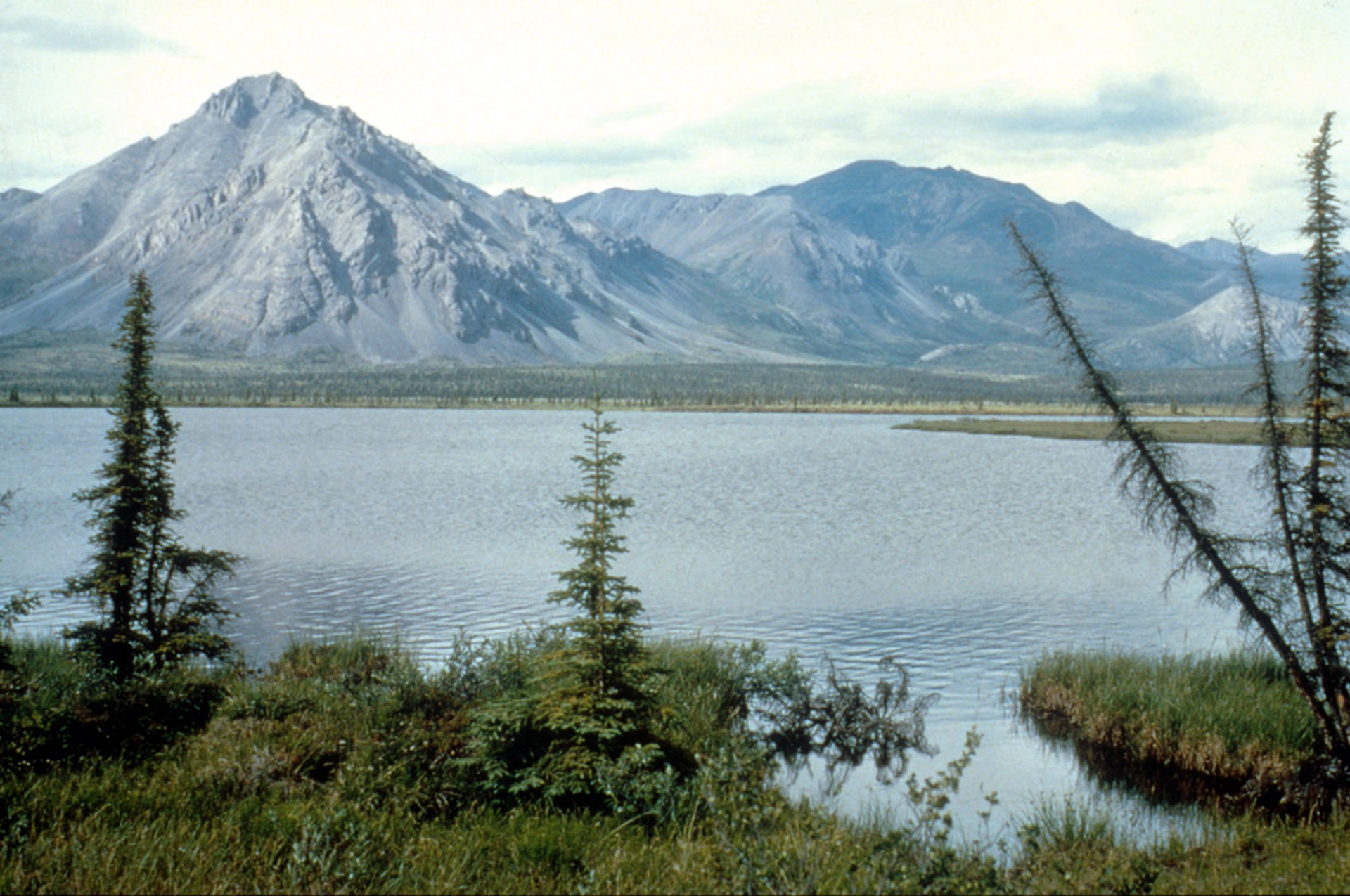 Arctic national wildlife refuge
