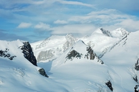 I pesticidi sono arrivati fino ai ghiacciai alpini e minacciano gli insetti delle terre alte