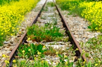 Vecchie ferrovie diventano piste ciclabili