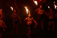 I rimedi curativi dei Maori