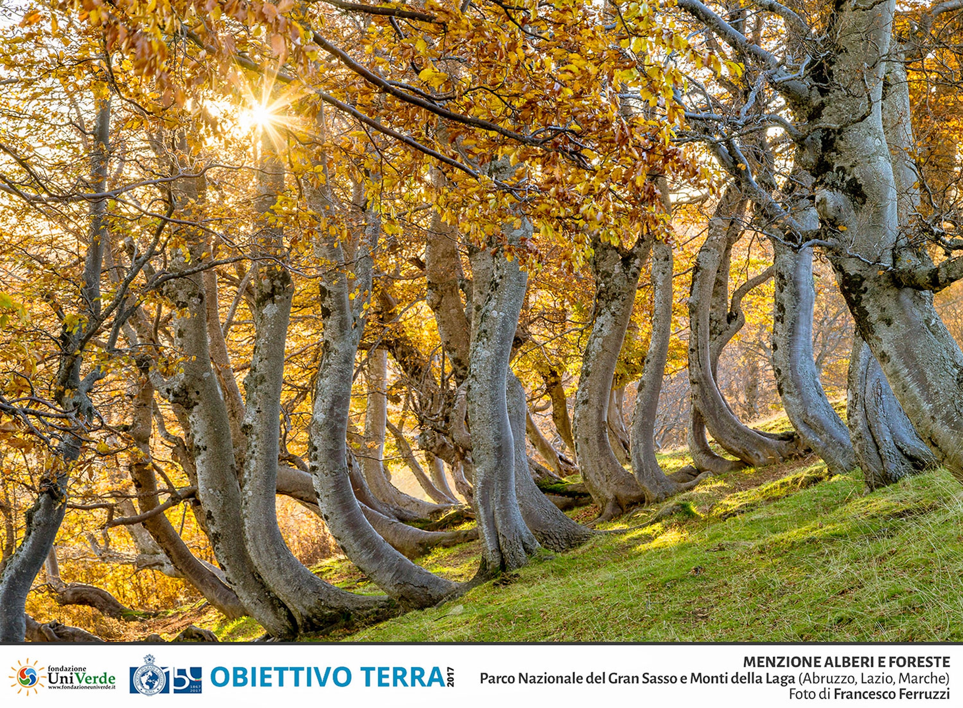 Parco nazionale del Gran Sasso e Monti della Laga