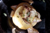 Sformatino di patate e porcini al timo e miele