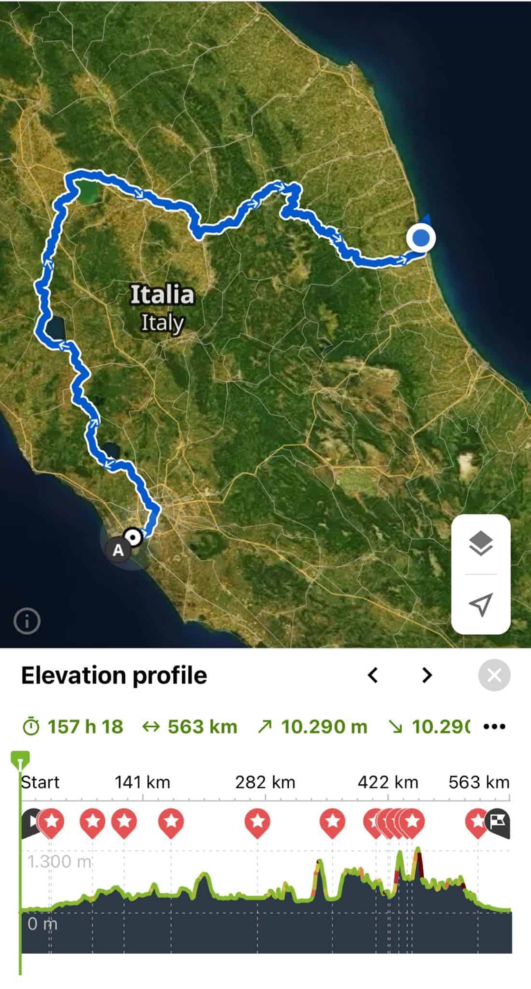 tracciato running for animals