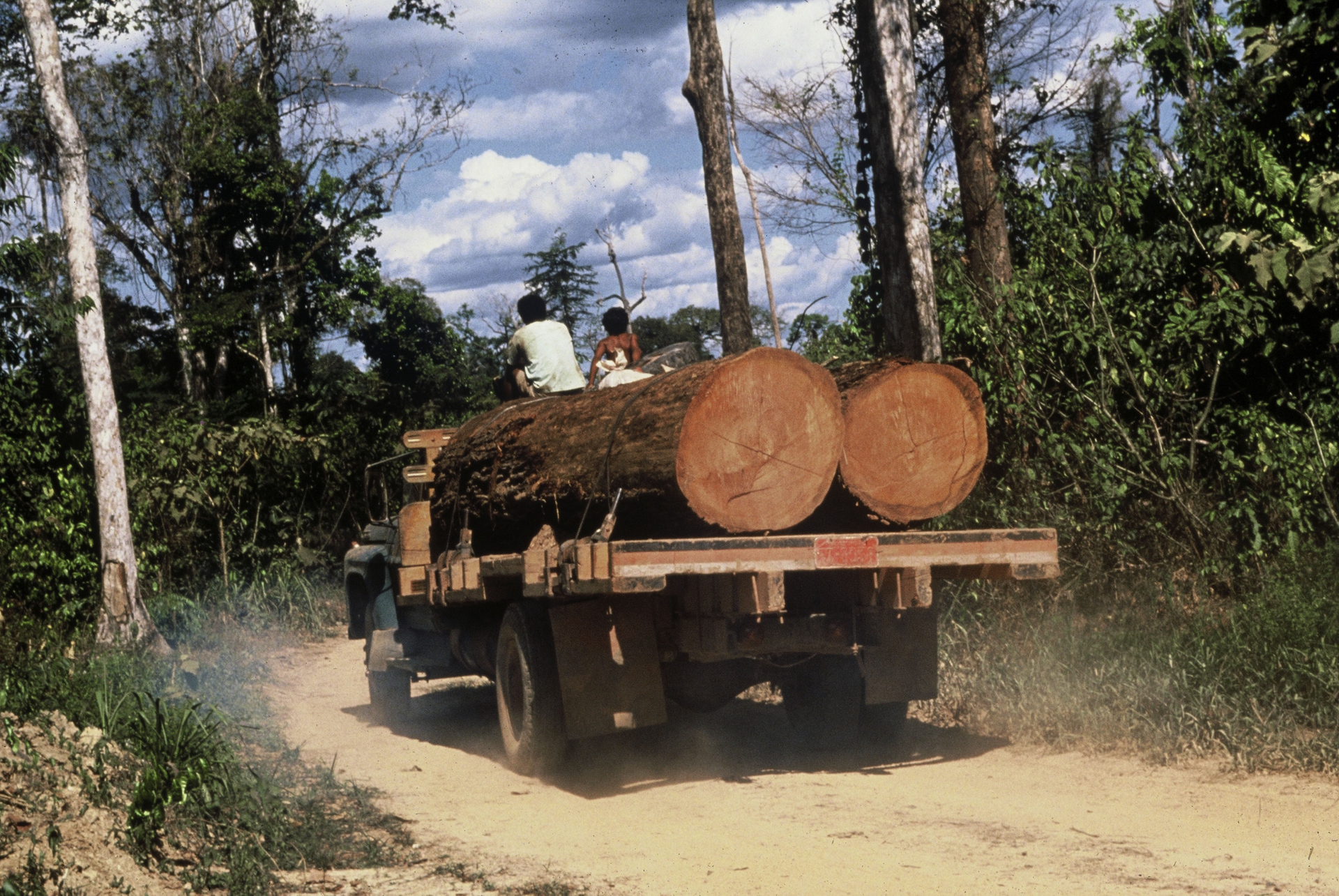 Perché la soia minaccia l'Amazzonia