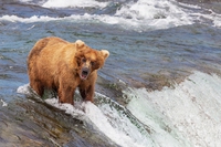 La Giornata mondiale della natura 2020 celebra l’inestimabile valore della biodiversità