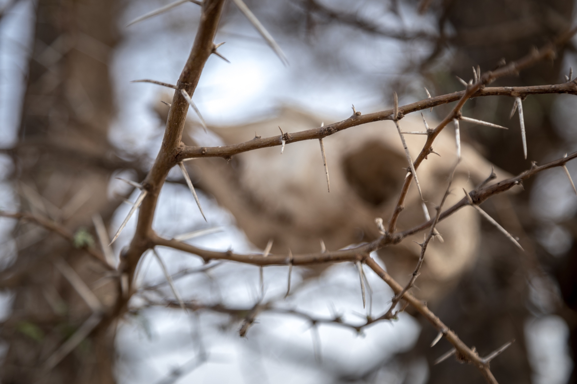 La storia di Issa Maou