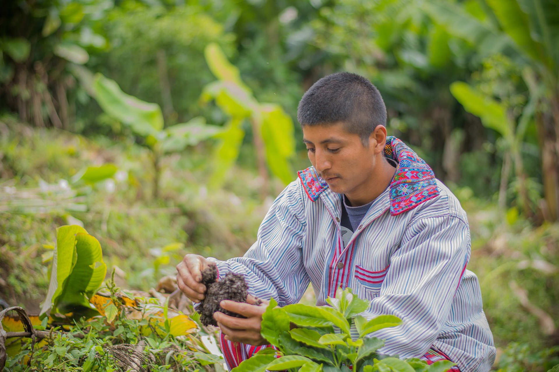 Byron mentre lavora la terra