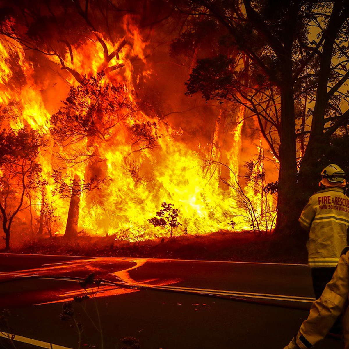 Australia Wildfires The Extent Severity And Consequences Of An Environmental Tragedy Lifegate