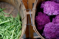 Agricoltura biodinamica, cos’è e come si pratica