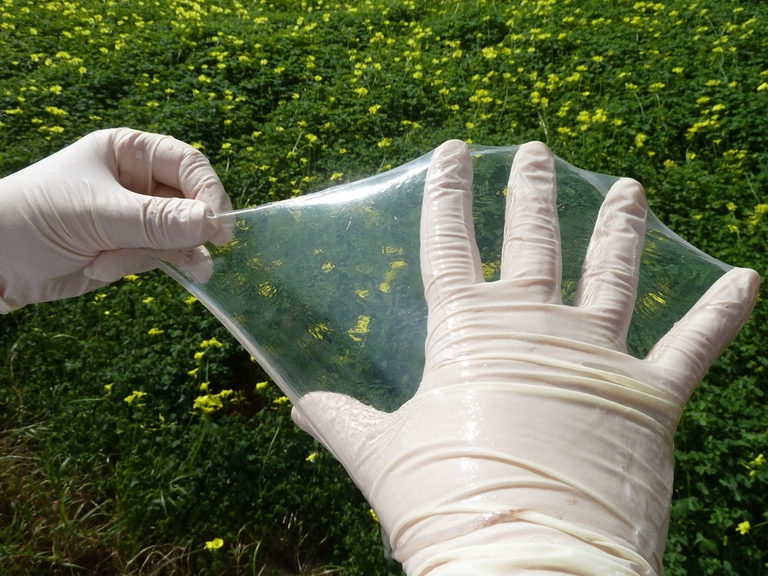 biomateriali di biofaber 