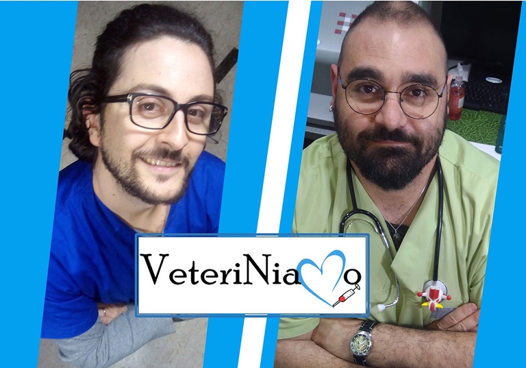 Veteriniamo