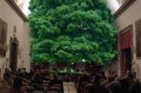 Il premio ‘Un bosco per Kyoto 2010’ a Marco Roveda