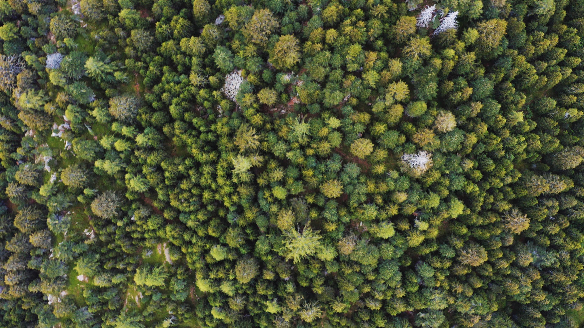 Lucomagno, Svizzera © LifeGate