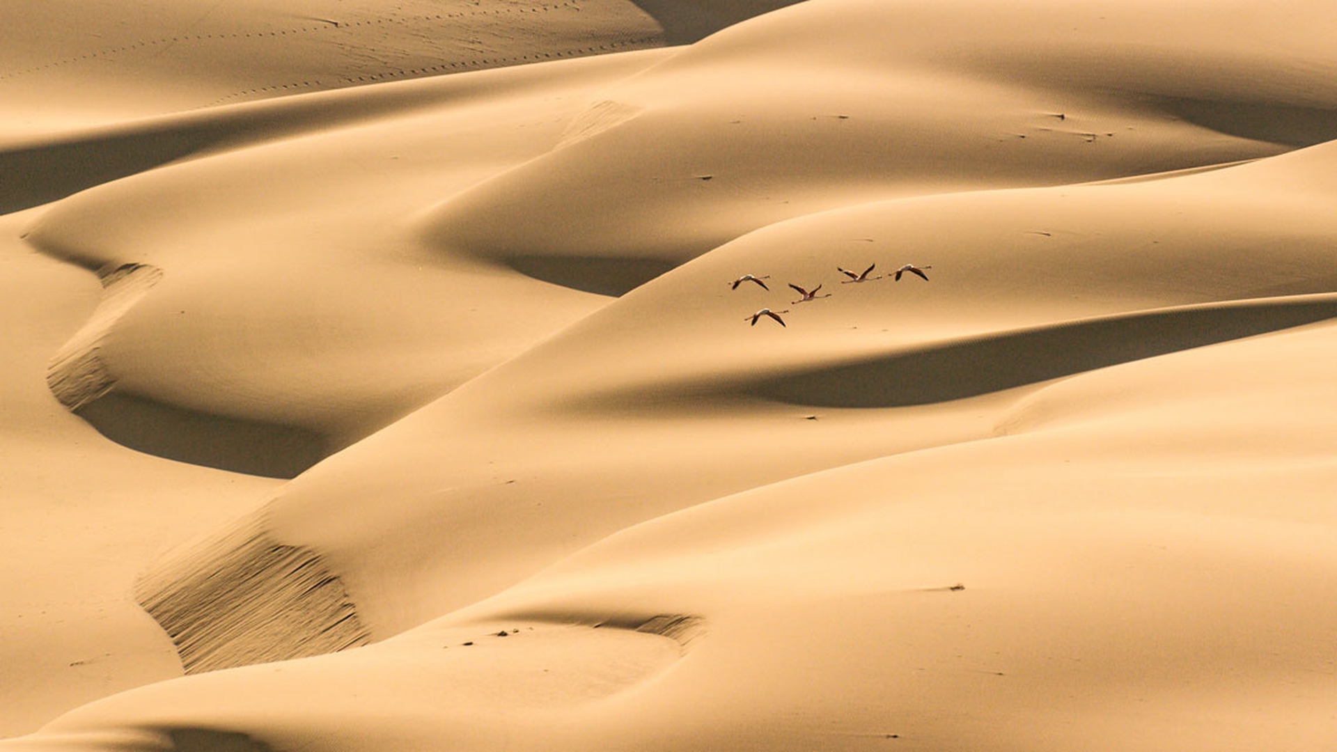 Uno dei fantastici paesaggi di Earth - Un giorno straordinario
