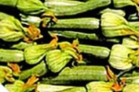 Vellutata di zucchine