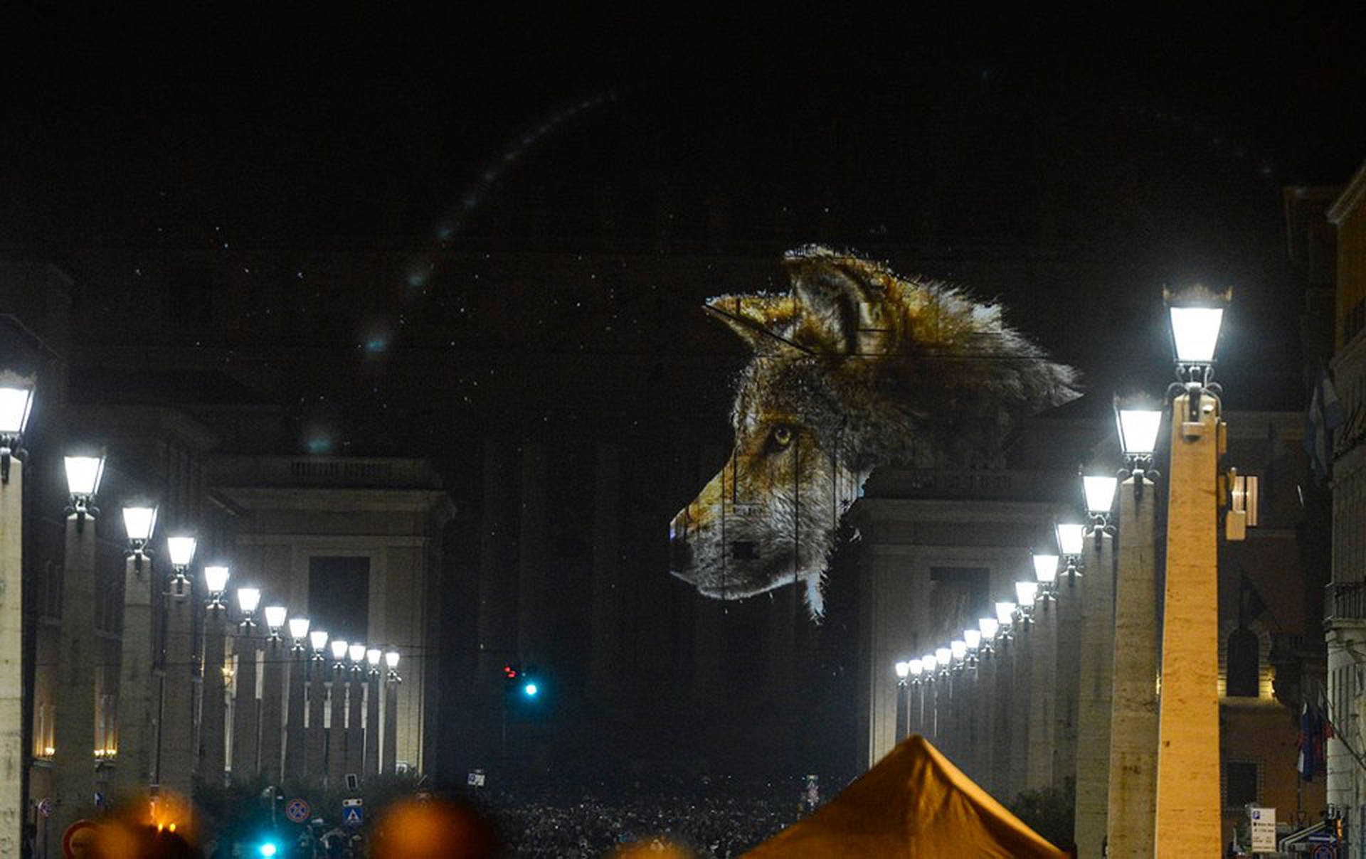 Fiat Lux The Vatican Becomes Home To The World s Richest Biodiversity Fiat Lux The Vatican Becomes Home To The World s Richest Biodiversity