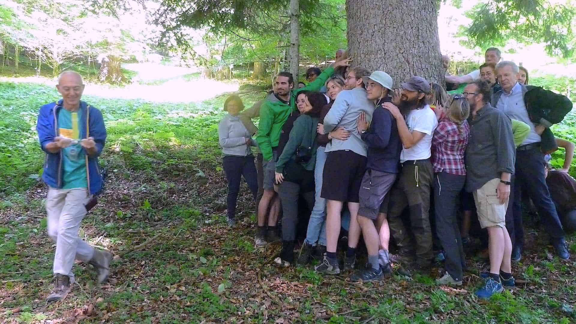 Forest bathing con Marco Nieri