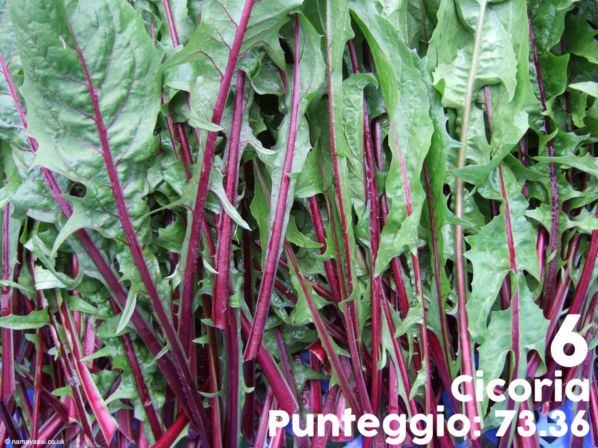 frutti-e-verdure-supernutrienti-6