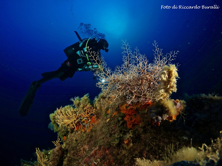 Toscana in barca a vela