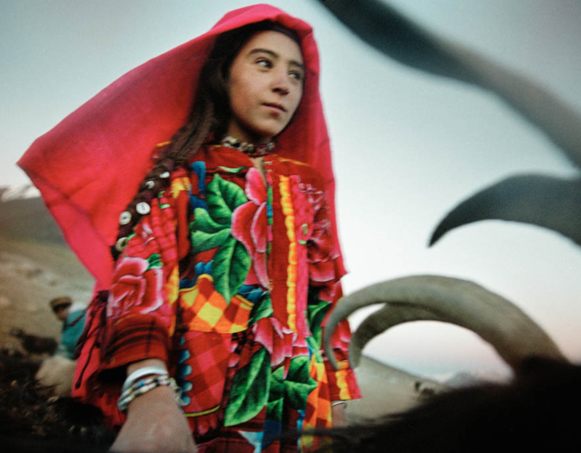 22 - Gul - Matthieu Paley