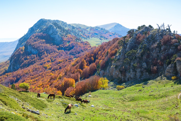 Parco nazionale del Pollino