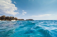 Temperature record anche in mare, dal Mediterraneo alla Florida