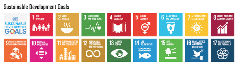 L'elenco degli obiettivi di sviluppo delle Nazioni Unite.