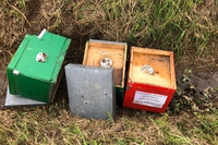 L’apiario di Gorgonzola non c’è più, ma Bee my future non si ferma