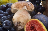 Fruits and vegetables in season by month: October
