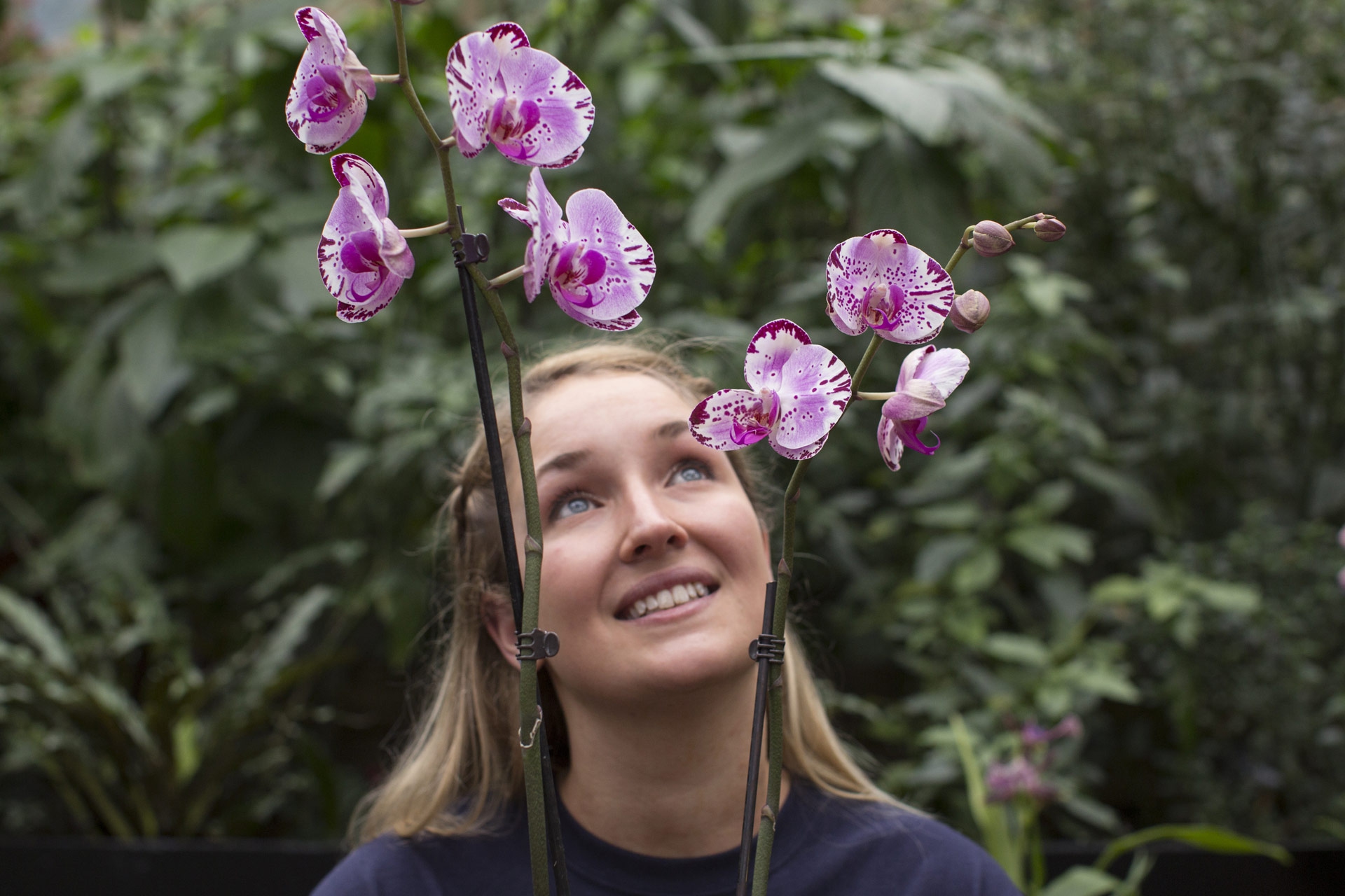 Le foto delle orchidee ai Royal Botanic Gardens di Kew