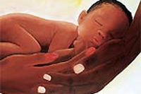 Gentilezza amorevole nella vita quotidiana