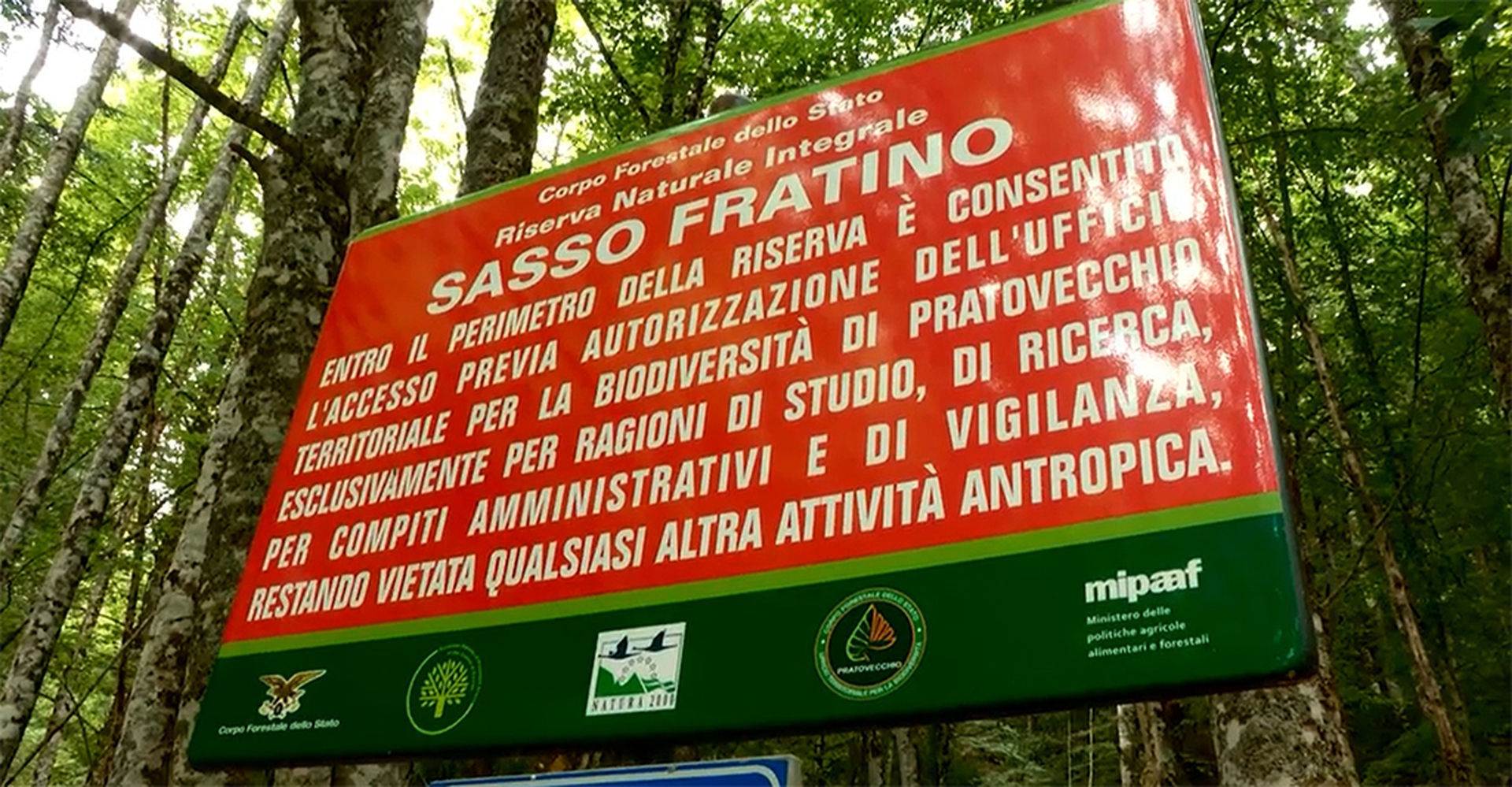 SassoFratino
