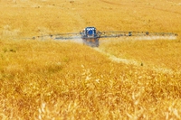 Come e perché l’inquinamento del suolo minaccia la produttività agricola