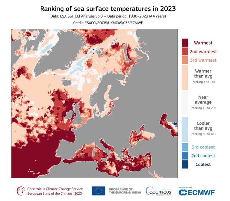 Le temperature sulla superficie dei mari europei nel 2023