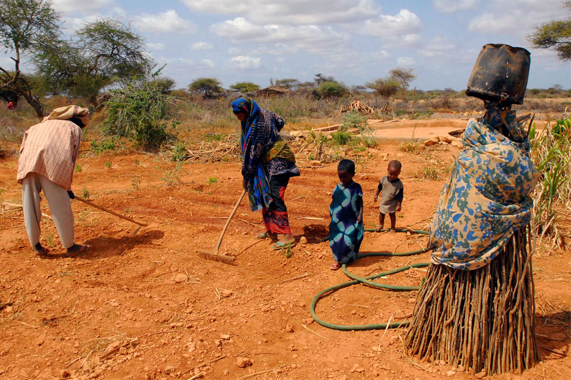 La produzione agricola di molti paesi è minacciata dai cambiamenti climatici