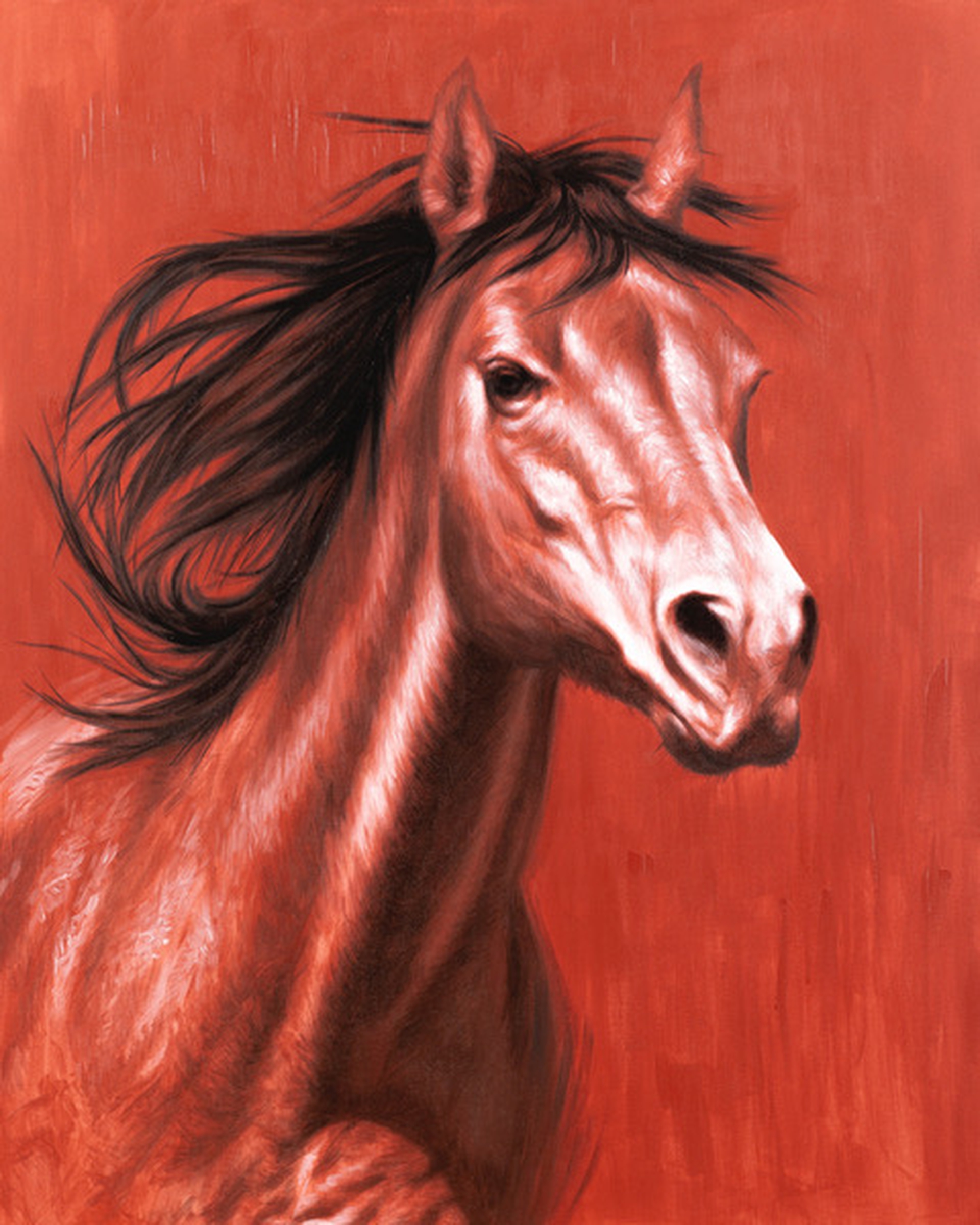 Marco Grasso Mustang 2023