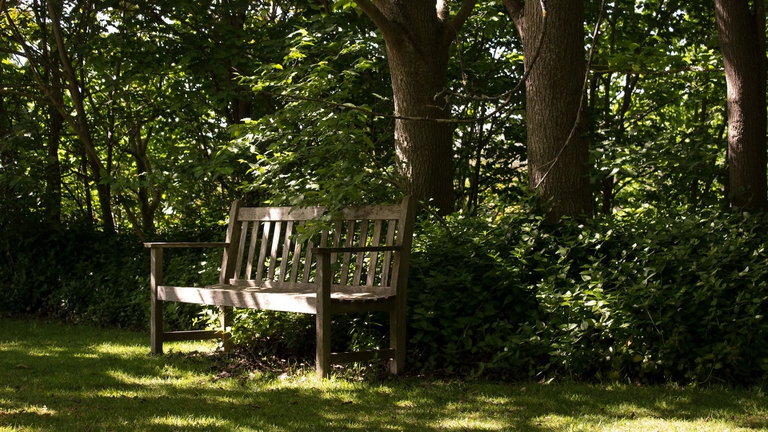 Rifugi climatici a Bologna.
