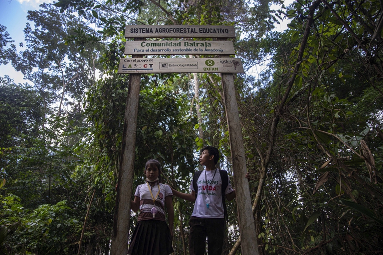 Educational forest in Bolivia