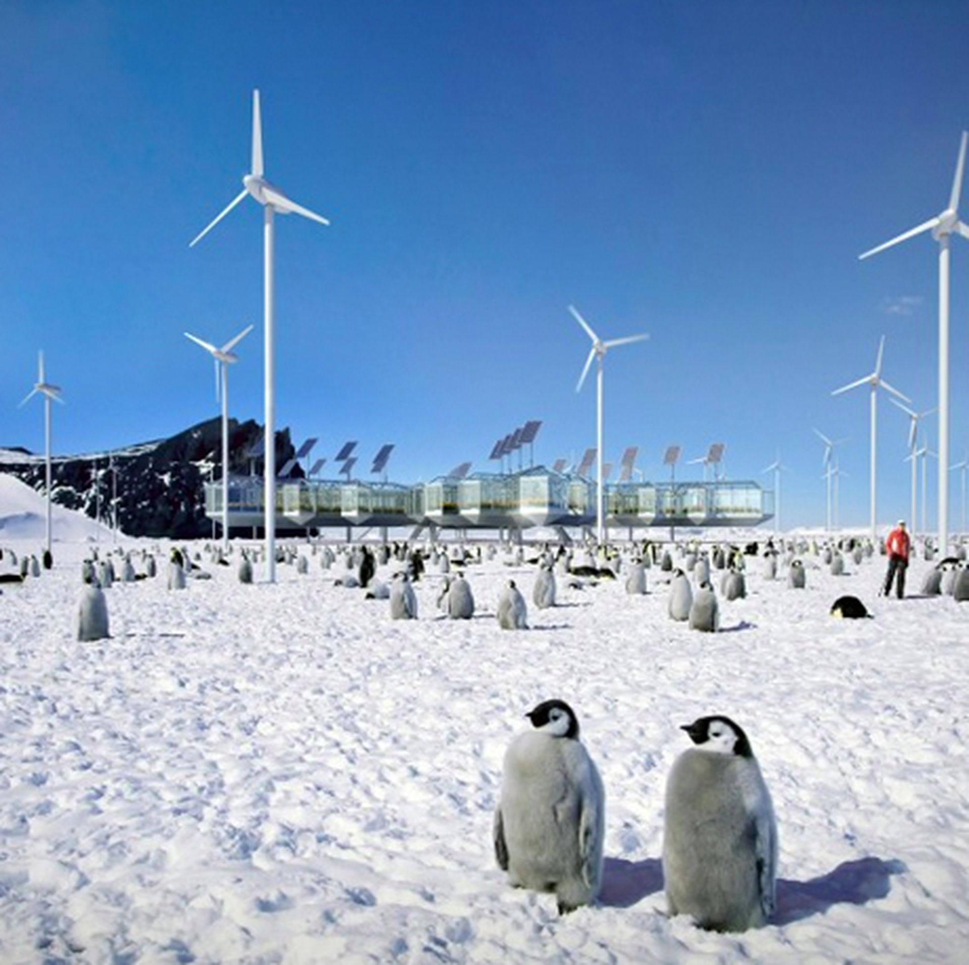 Architettura in Antartide