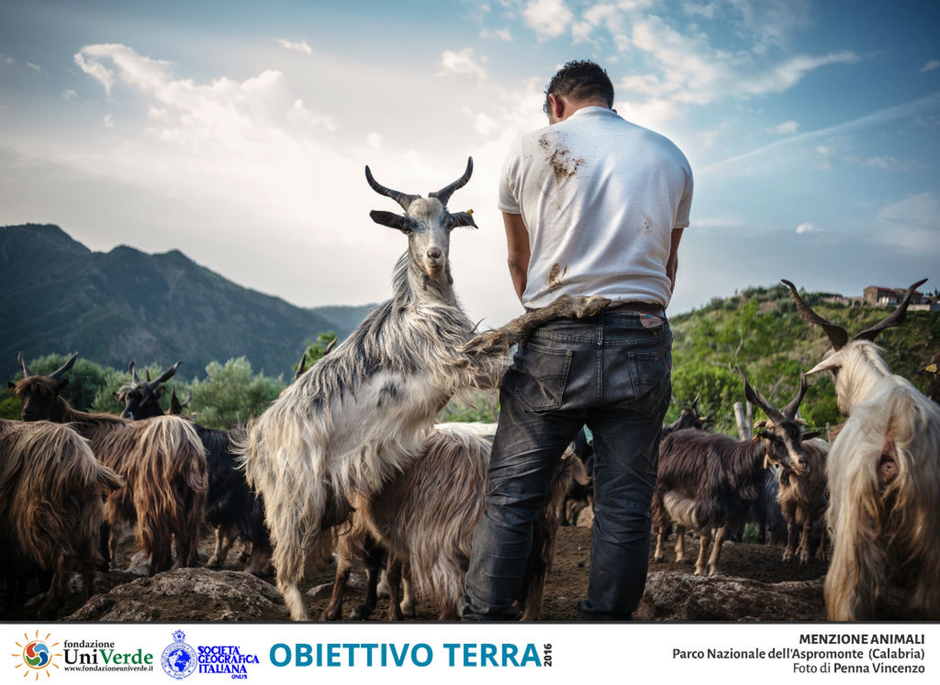 Penna Vincenzo Parco Nazionale dell Aspromonte MENZIONE ANIMALI_1