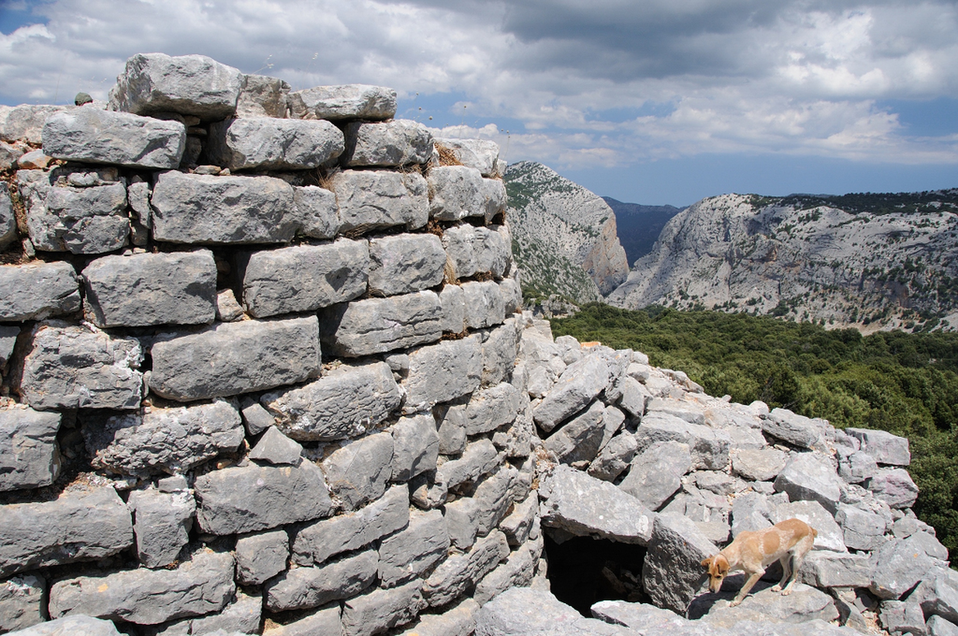 Gorropu visto da nuraghe Mereu