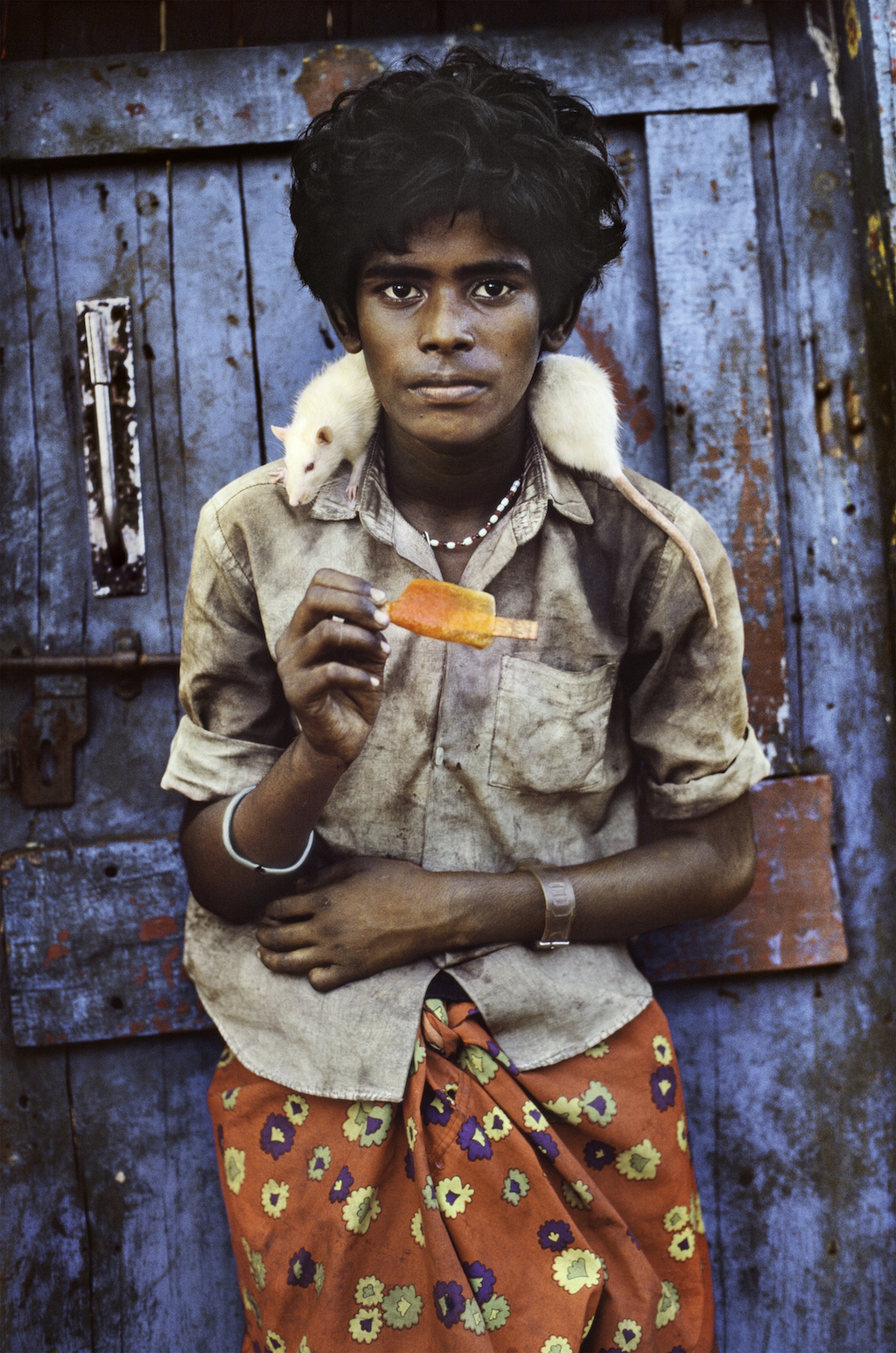 Le foto della mostra Animals di Steve McCurry al Mudec di Milano: India