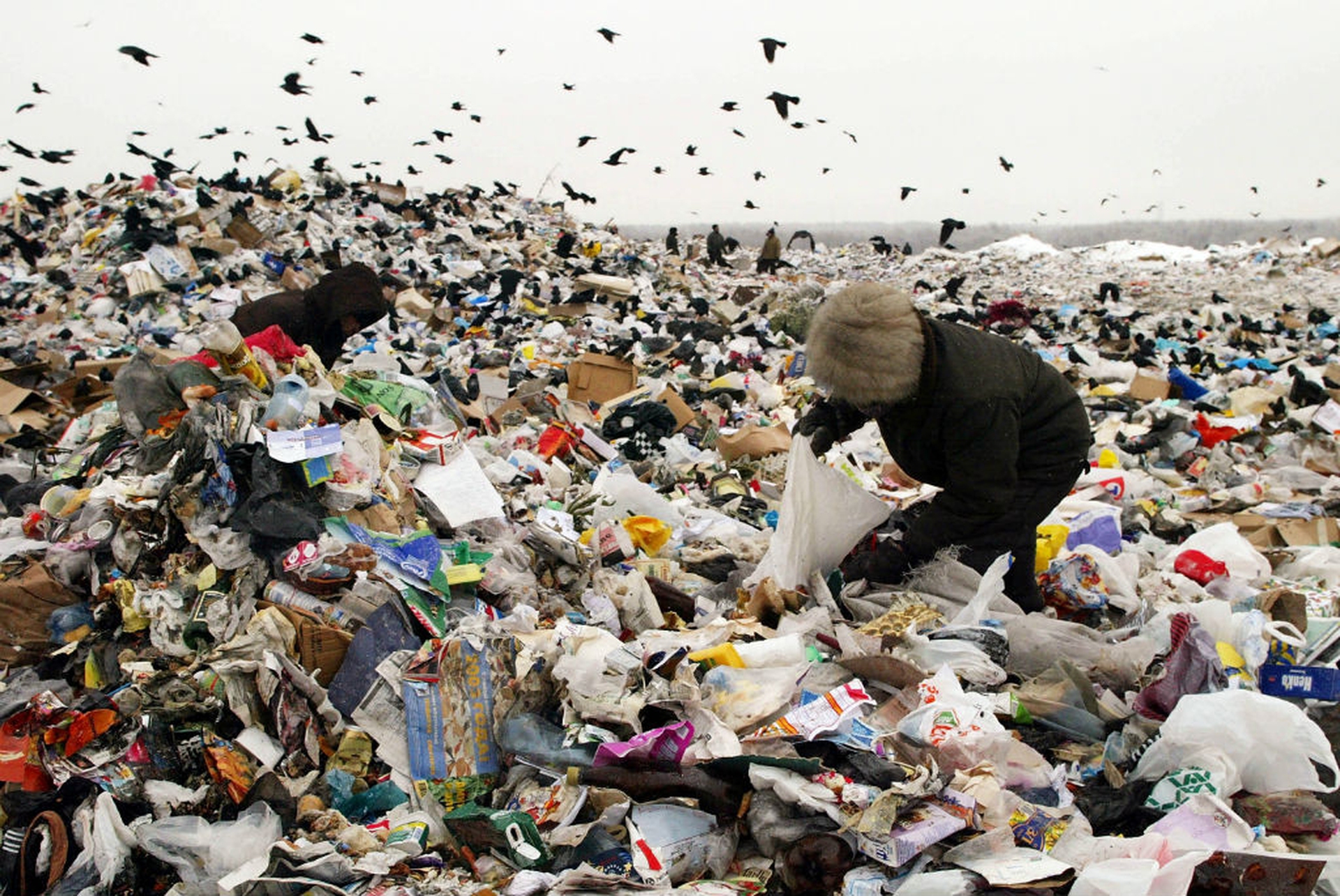 Spreco alimentare. Anche l’Italia ha la sua legge