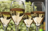 One wine night, quarta edizione per la degustazione benefica comasca